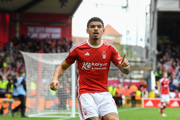 尽管凯恩的 尽管凯恩的